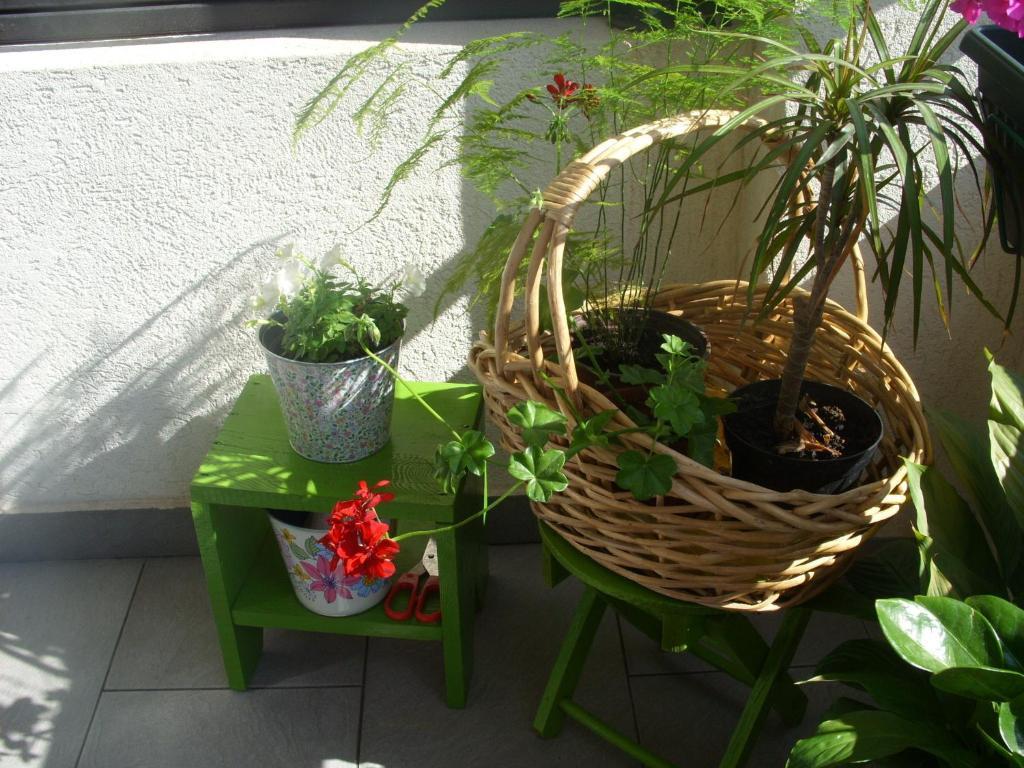 Apartments Dakovic Kotor Exterior foto