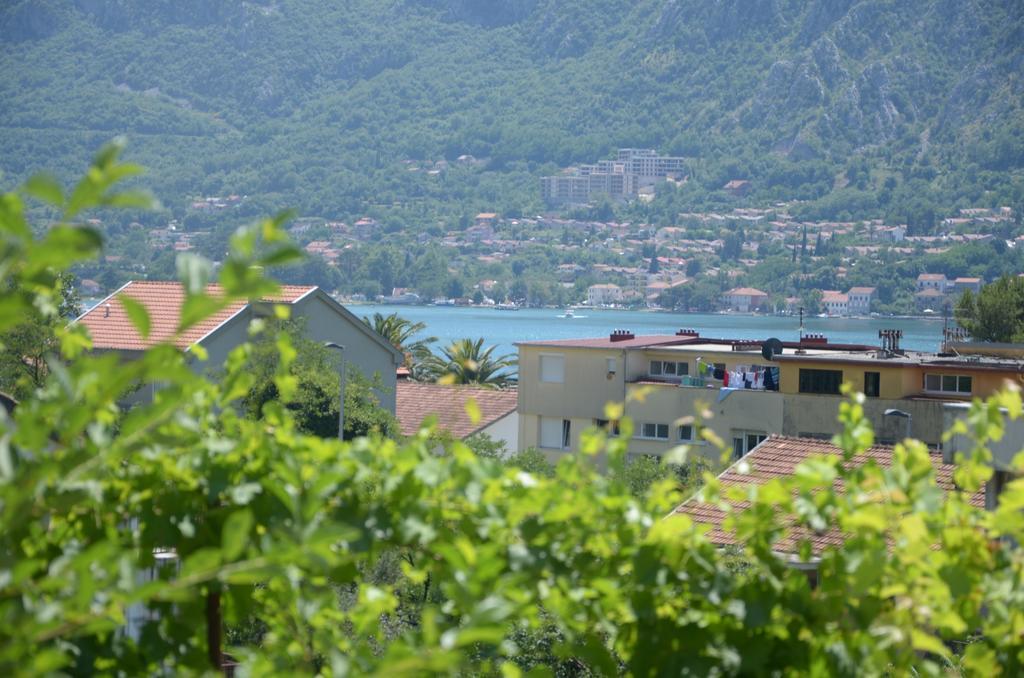 Apartments Dakovic Kotor Exterior foto