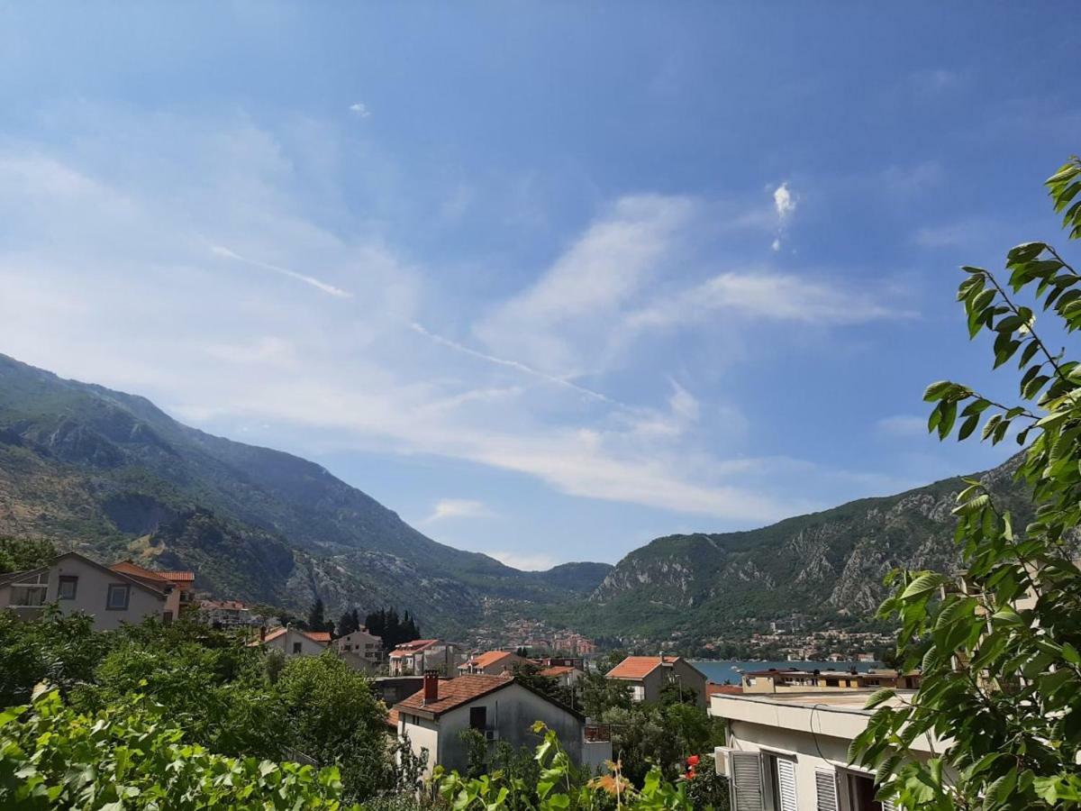 Apartments Dakovic Kotor Exterior foto
