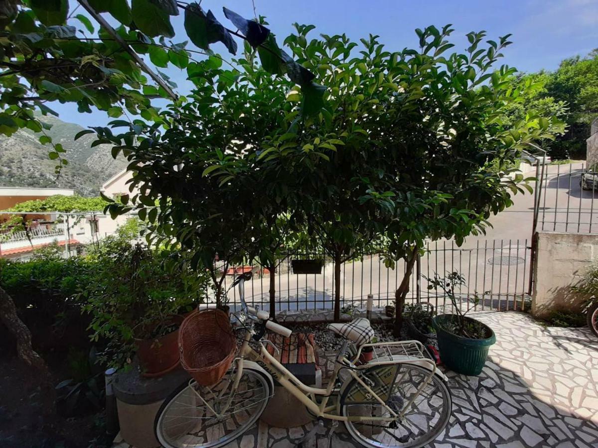 Apartments Dakovic Kotor Exterior foto